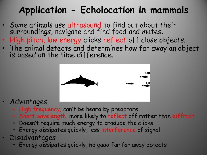 Application - Echolocation in mammals • Some animals use ultrasound to find out about