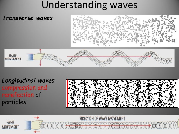 Understanding waves Transverse waves Longitudinal waves compression and rarefaction of particles 