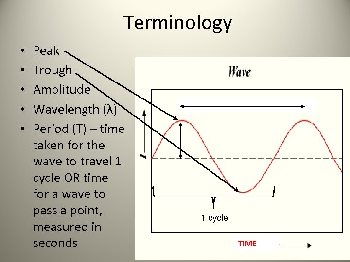 Terminology • • • Peak Trough Amplitude Wavelength (λ) Period (T) – time taken