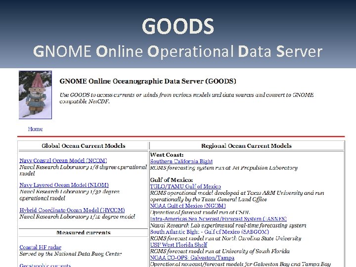GOODS GNOME Online Operational Data Server 