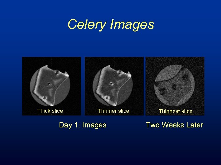 Celery Images Thick slice Thinner slice Day 1: Images Thinnest slice Two Weeks Later