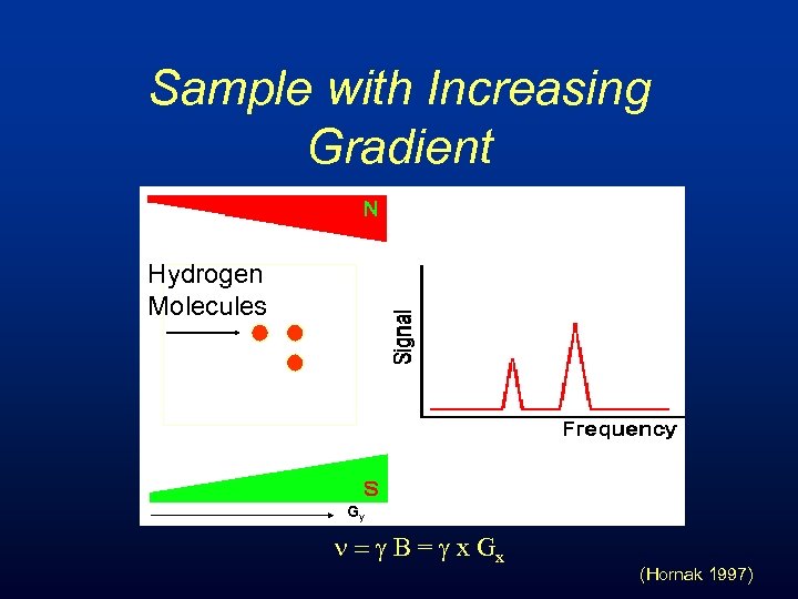 Sample with Increasing Gradient Hydrogen Molecules Gy n = g B = g x