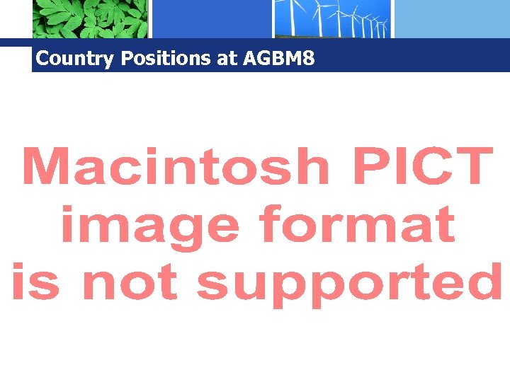 Country Positions at AGBM 8 