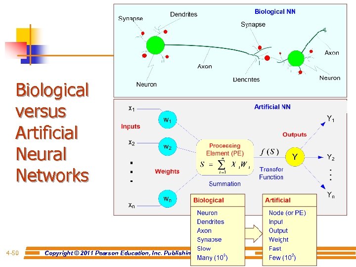 Biological versus Artificial Neural Networks 4 -50 Copyright © 2011 Pearson Education, Inc. Publishing
