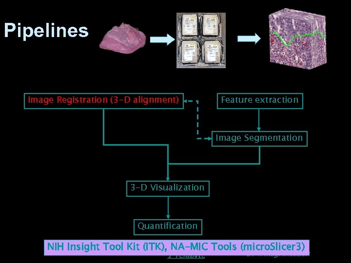 Pipelines Image Registration (3 -D alignment) Feature extraction Image Segmentation 3 -D Visualization Quantification