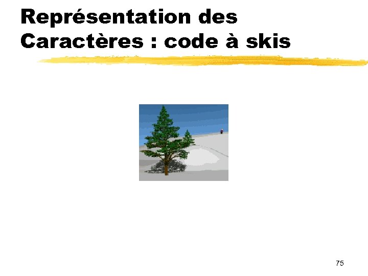 Représentation des Caractères : code à skis 75 