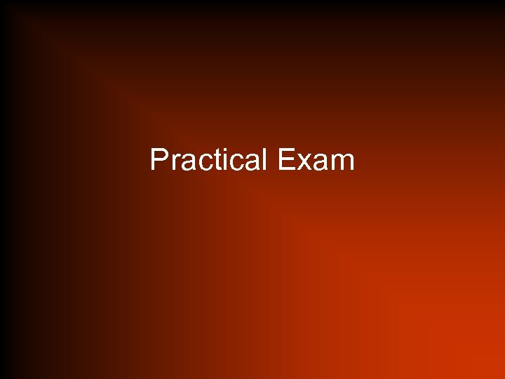 Practical Exam 