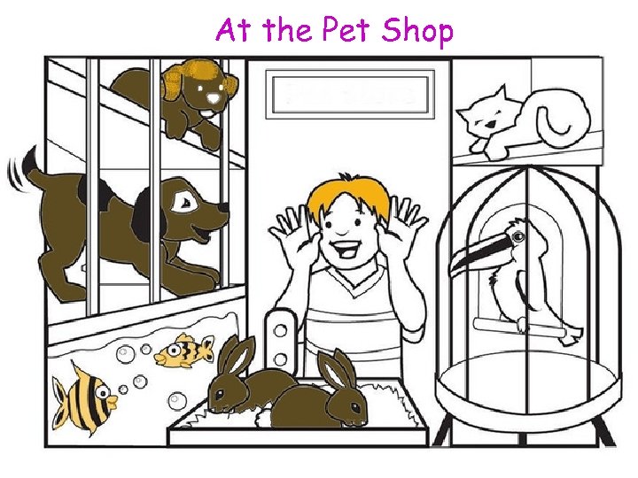 At the Pet Shop 