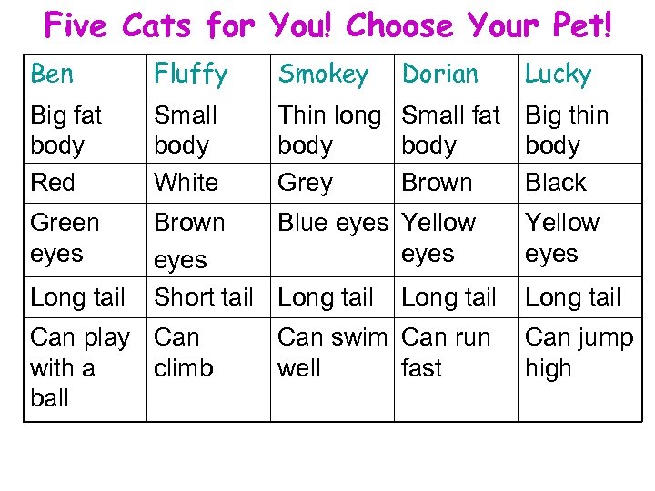 Five Cats for You! Choose Your Pet! Ben Fluffy Smokey Big fat body Red