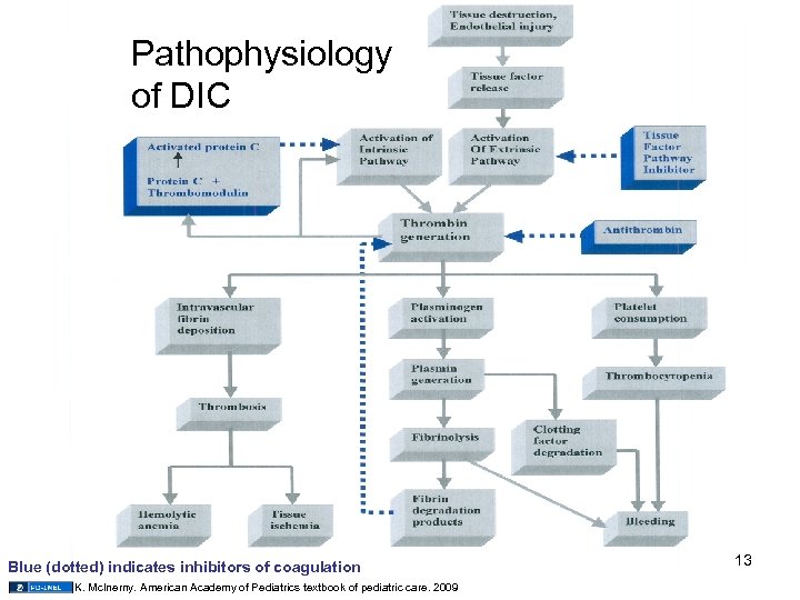 Pathophysiology of DIC Blue (dotted) indicates inhibitors of coagulation K. Mc. Inerny. American Academy