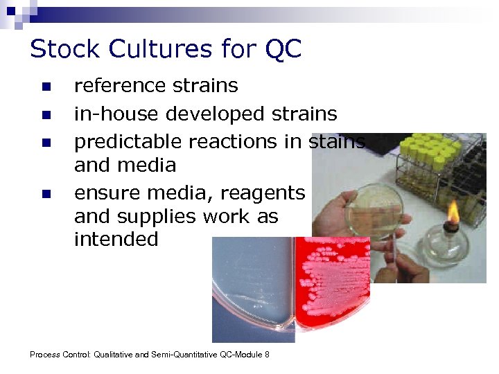 Stock Cultures for QC n n reference strains in-house developed strains predictable reactions in