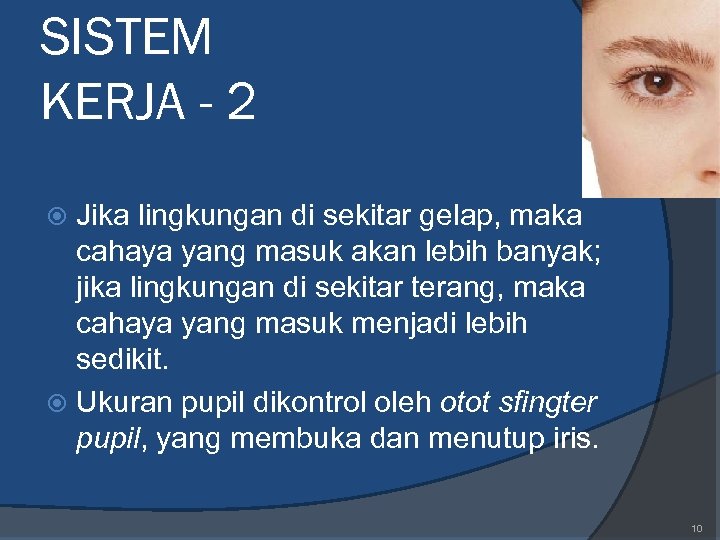 SISTEM KERJA - 2 Jika lingkungan di sekitar gelap, maka cahaya yang masuk akan