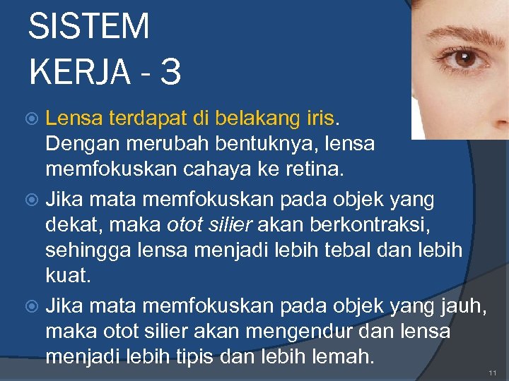 SISTEM KERJA - 3 Lensa terdapat di belakang iris. Dengan merubah bentuknya, lensa memfokuskan