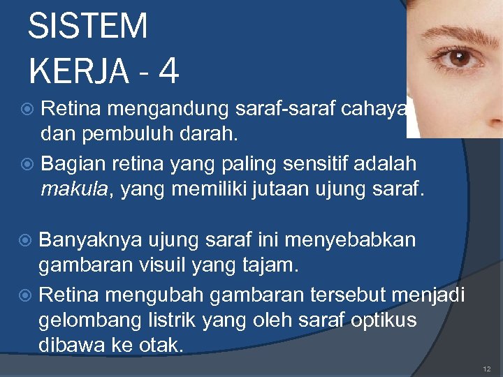 SISTEM KERJA - 4 Retina mengandung saraf-saraf cahaya dan pembuluh darah. Bagian retina yang