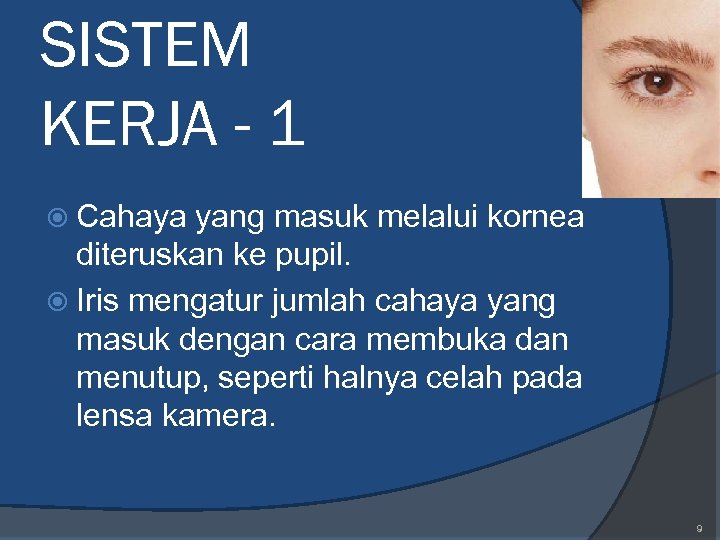 SISTEM KERJA - 1 Cahaya yang masuk melalui kornea diteruskan ke pupil. Iris mengatur