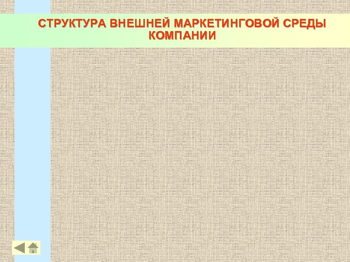 СТРУКТУРА ВНЕШНЕЙ МАРКЕТИНГОВОЙ СРЕДЫ КОМПАНИИ 17 