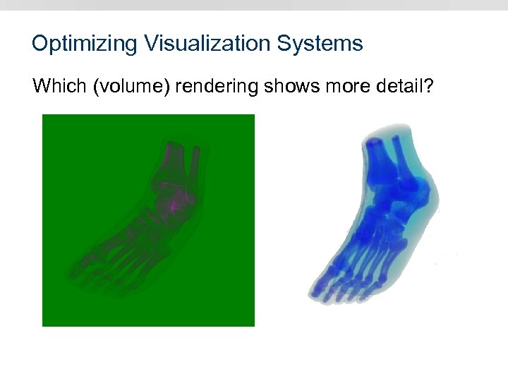 Optimizing Visualization Systems Which (volume) rendering shows more detail? 