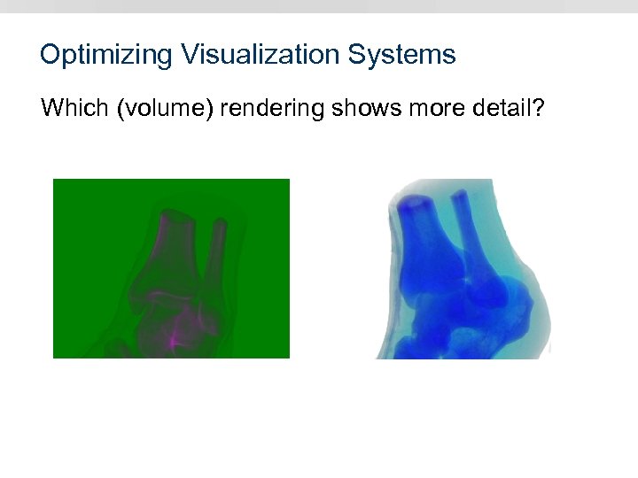 Optimizing Visualization Systems Which (volume) rendering shows more detail? 