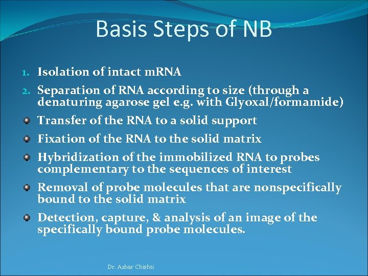 Basis Steps of NB 1. Isolation of intact m. RNA 2. Separation of RNA