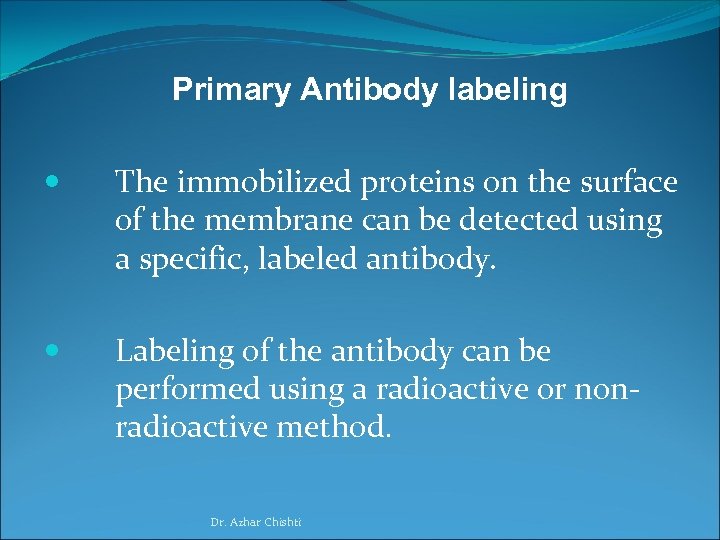 Primary Antibody labeling The immobilized proteins on the surface of the membrane can be