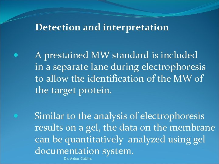 Detection and interpretation A prestained MW standard is included in a separate lane during
