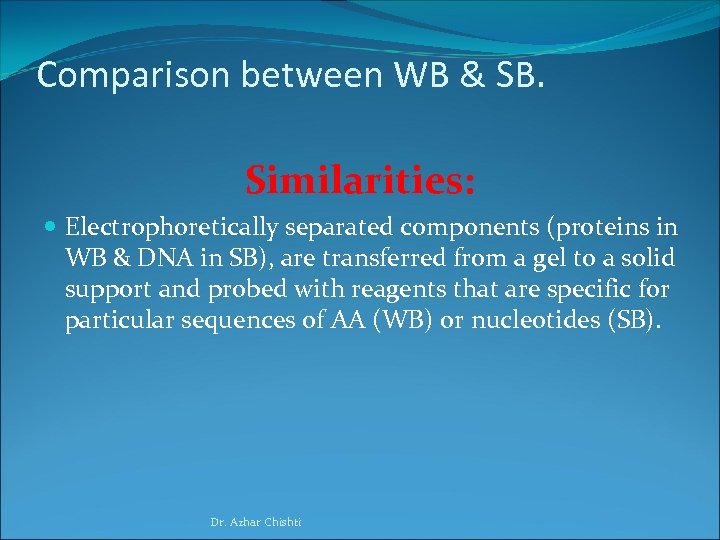 Comparison between WB & SB. Similarities: Electrophoretically separated components (proteins in WB & DNA