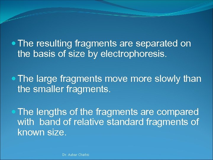  The resulting fragments are separated on the basis of size by electrophoresis. The