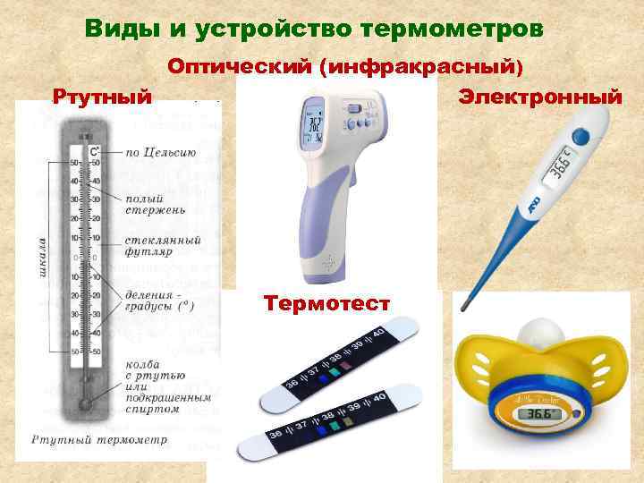 Термометрия презентация по медицине - 90 фото