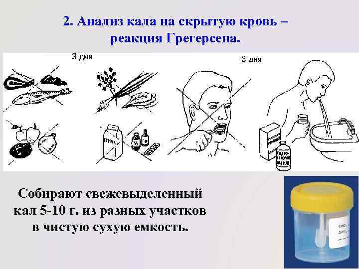 Направление на кал на скрытую кровь образец