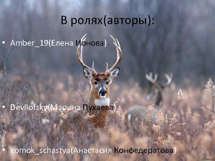 В ролях(авторы): • Amber_19(Елена Ионова) • Devilofsky(Марина Пухаева) • komok_schastya(Анастасия В ролях(авторы): • Amber_19(Елена Ионова) • Devilofsky(Марина Пухаева) • komok_schastya(Анастасия