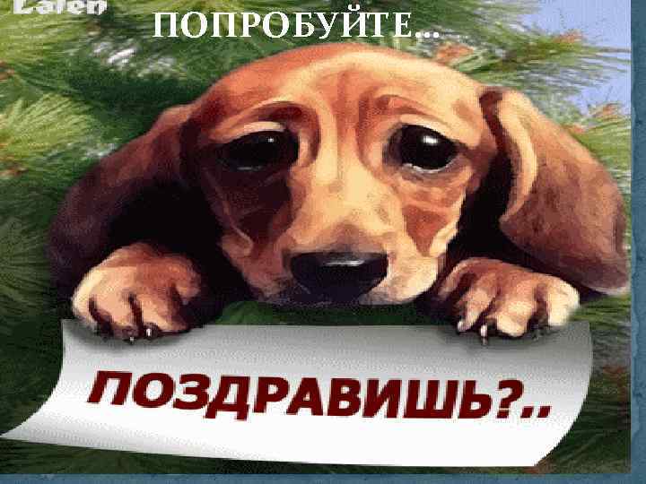 ПОПРОБУЙТЕ… 