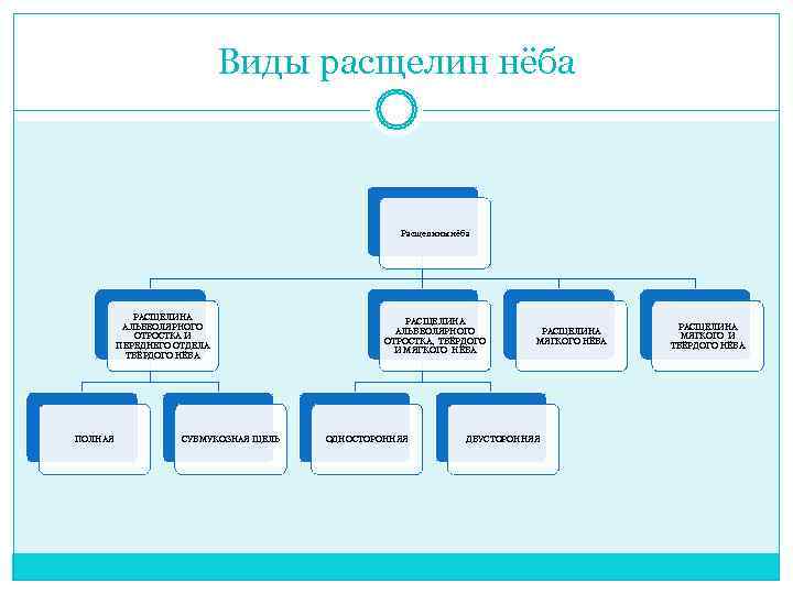      Виды расщелин нёба     Расщелины нёба