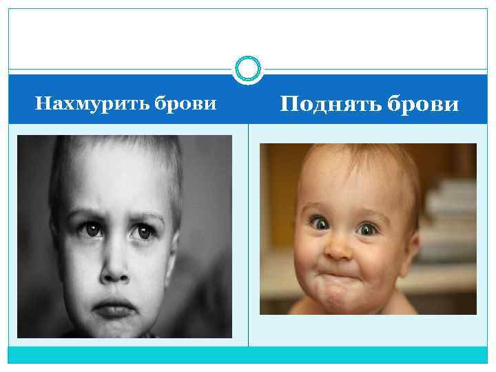 Нахмурить брови  Поднять брови 