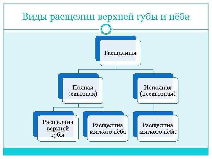 Виды расщелин при ринолалии картинки