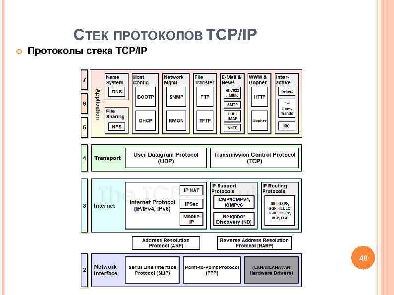 СТЕК ПРОТОКОЛОВ TCP/IP Протоколы стека TCP/IP СТЕК ПРОТОКОЛОВ TCP/IP Протоколы стека TCP/IP