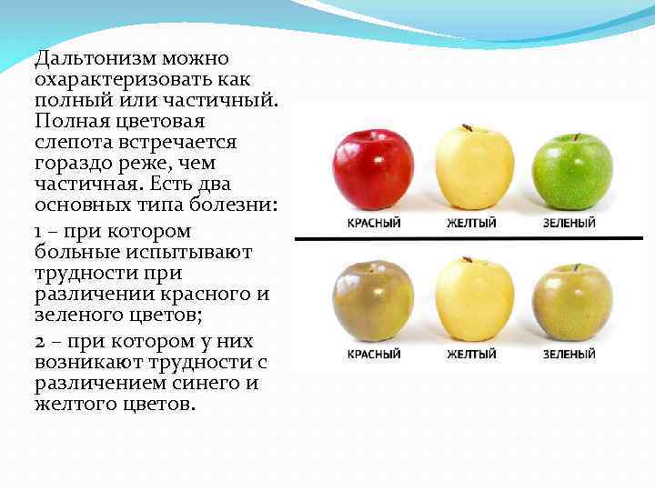 Дальтонизм презентация по биологии