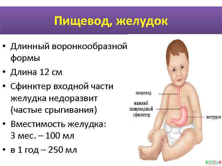 Период грудного возраста презентация