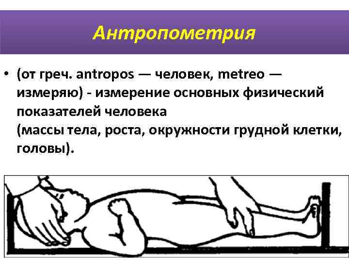 Презентация на тему антропометрия