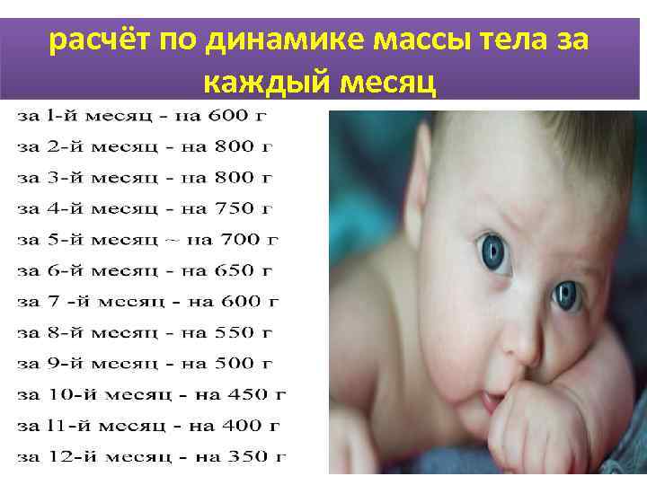 расчёт по динамике массы тела за  каждый месяц 