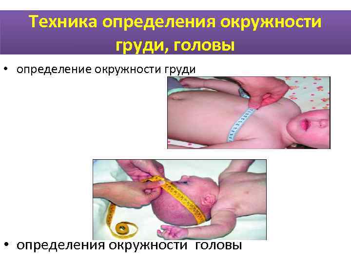   Техника определения окружности   груди, головы • определение окружности груди •