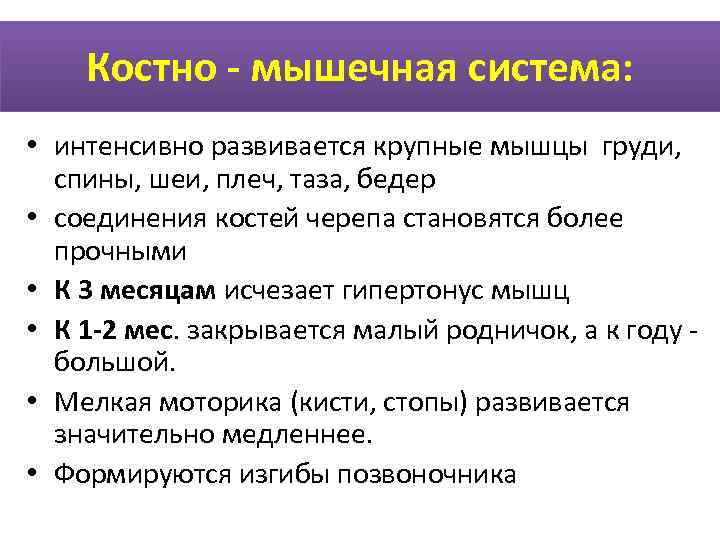   Костно - мышечная система:  • интенсивно развивается крупные мышцы груди, спины,