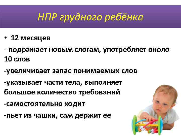    НПР грудного ребёнка • 12 месяцев - подражает новым слогам, употребляет