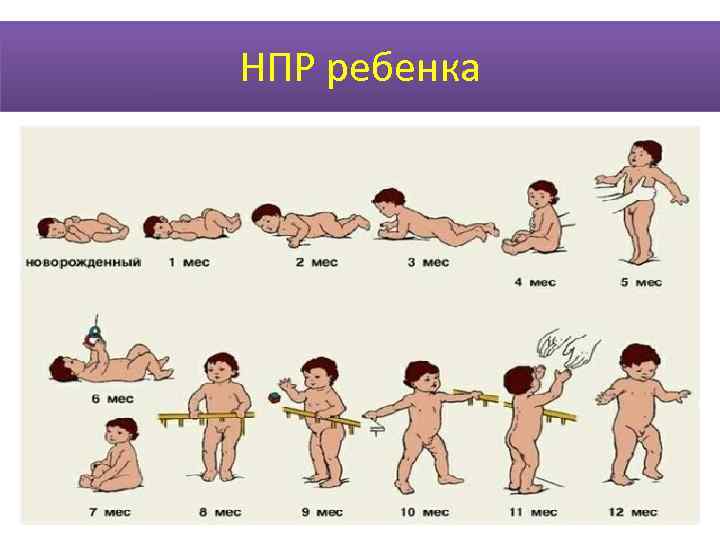 Грудной период. Грудной период ребенка. Грудной период развития человека. Особенности периода младенческого (грудного) возраста. Этапы неврологического развития ребенка новорожденного.