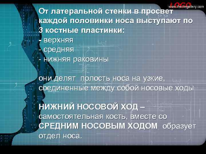      LOGO      www. themegallery. com