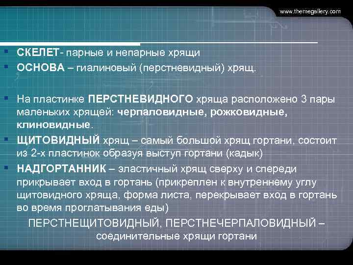      www. themegallery. com § СКЕЛЕТ- парные и непарные хрящи