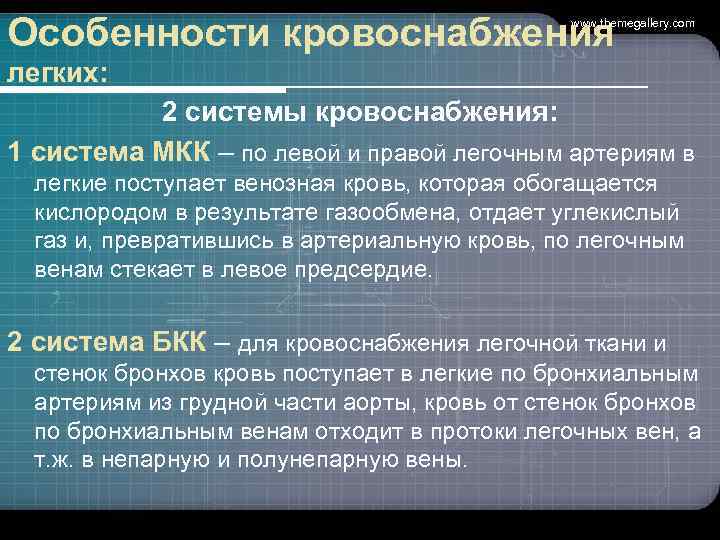 Особенности кровоснабжения     www. themegallery. com  легких:  2 системы