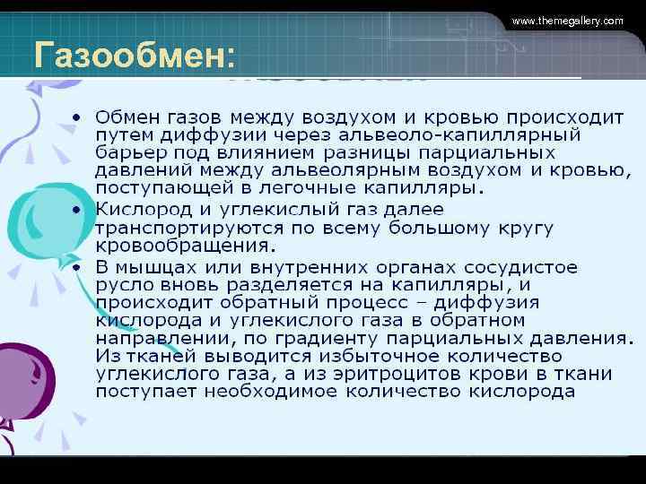    www. themegallery. com  Газообмен: 