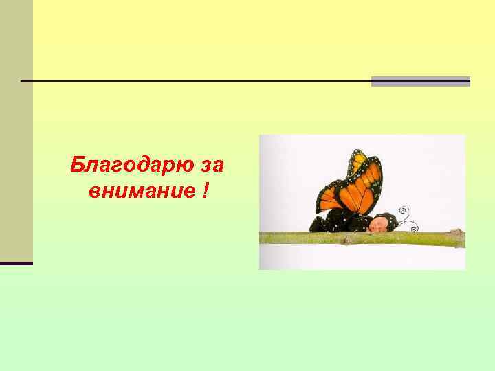 Благодарю за внимание ! 