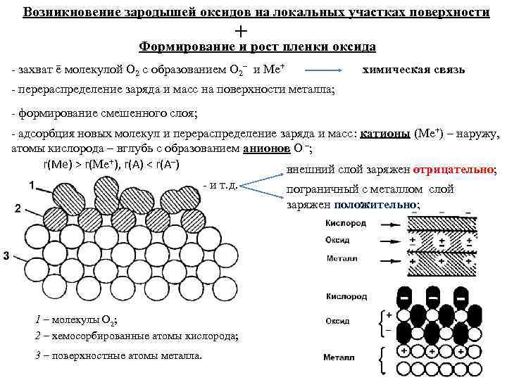  Возникновение зародышей оксидов на локальных участках поверхности    +  