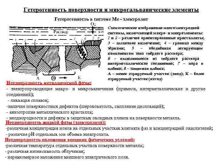  Гетерогенность поверхности и микрогальванические элементы    Гетерогенность в системе Me